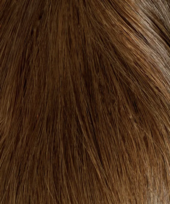 InterHair Classic Extensions 55cm