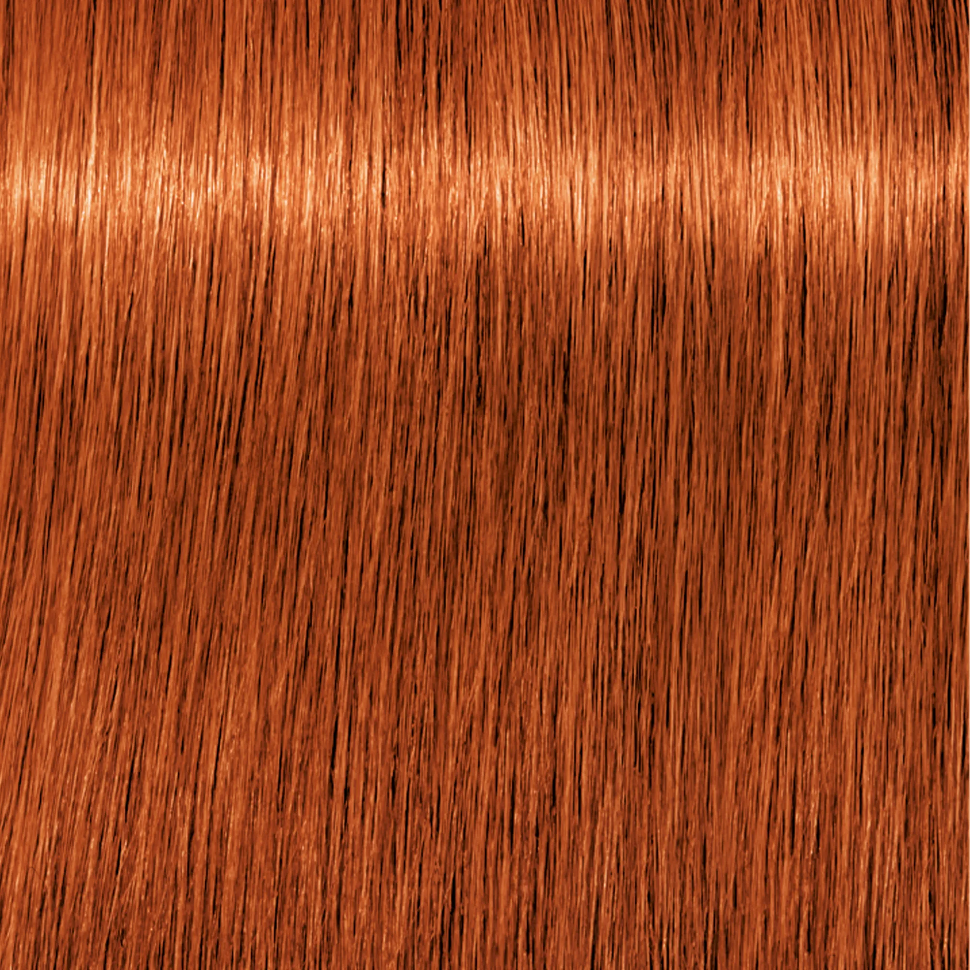 Schwarzkopf Igora Royal