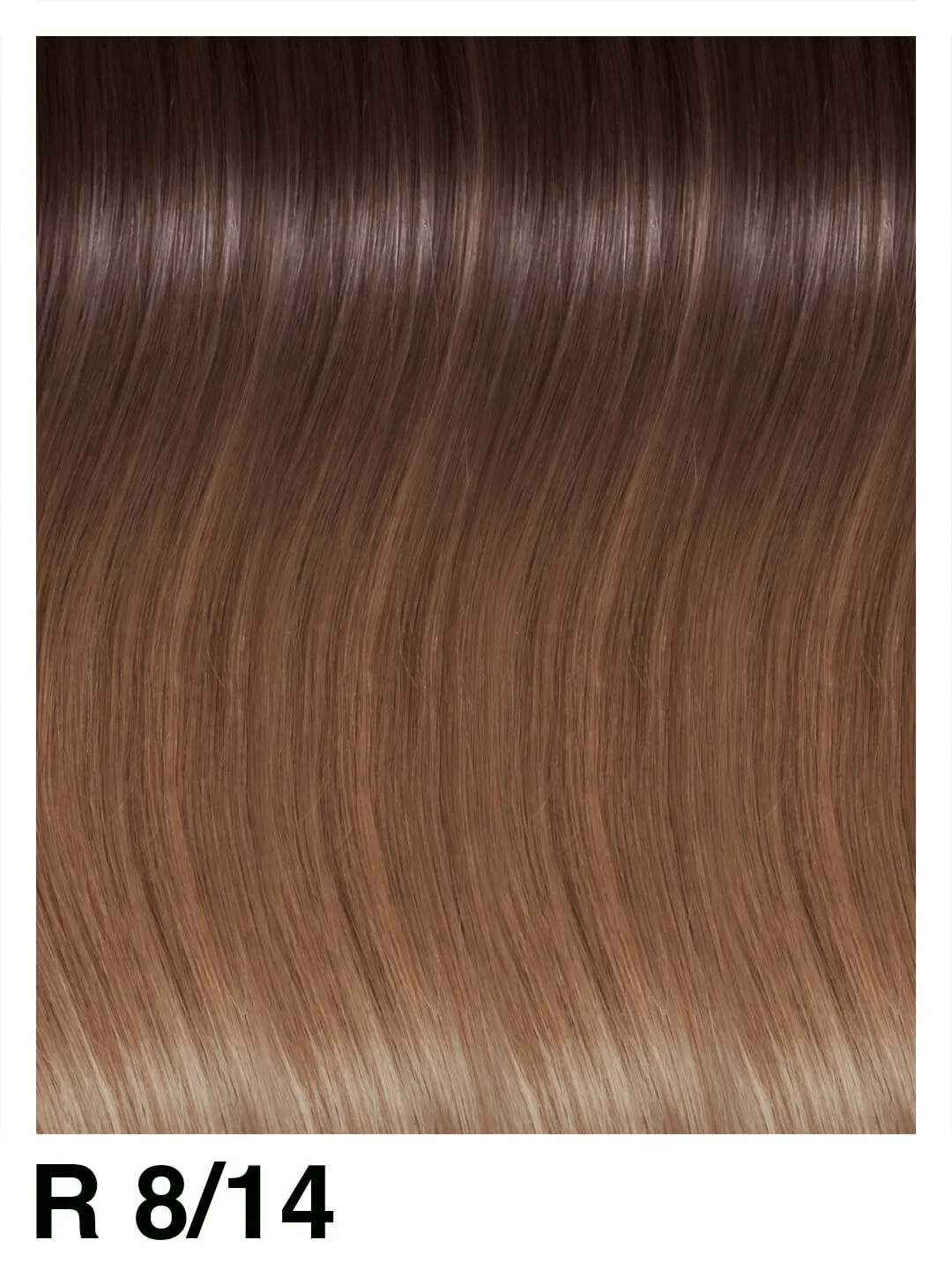 SHE Weft Rooted Extensions 50/55cm
