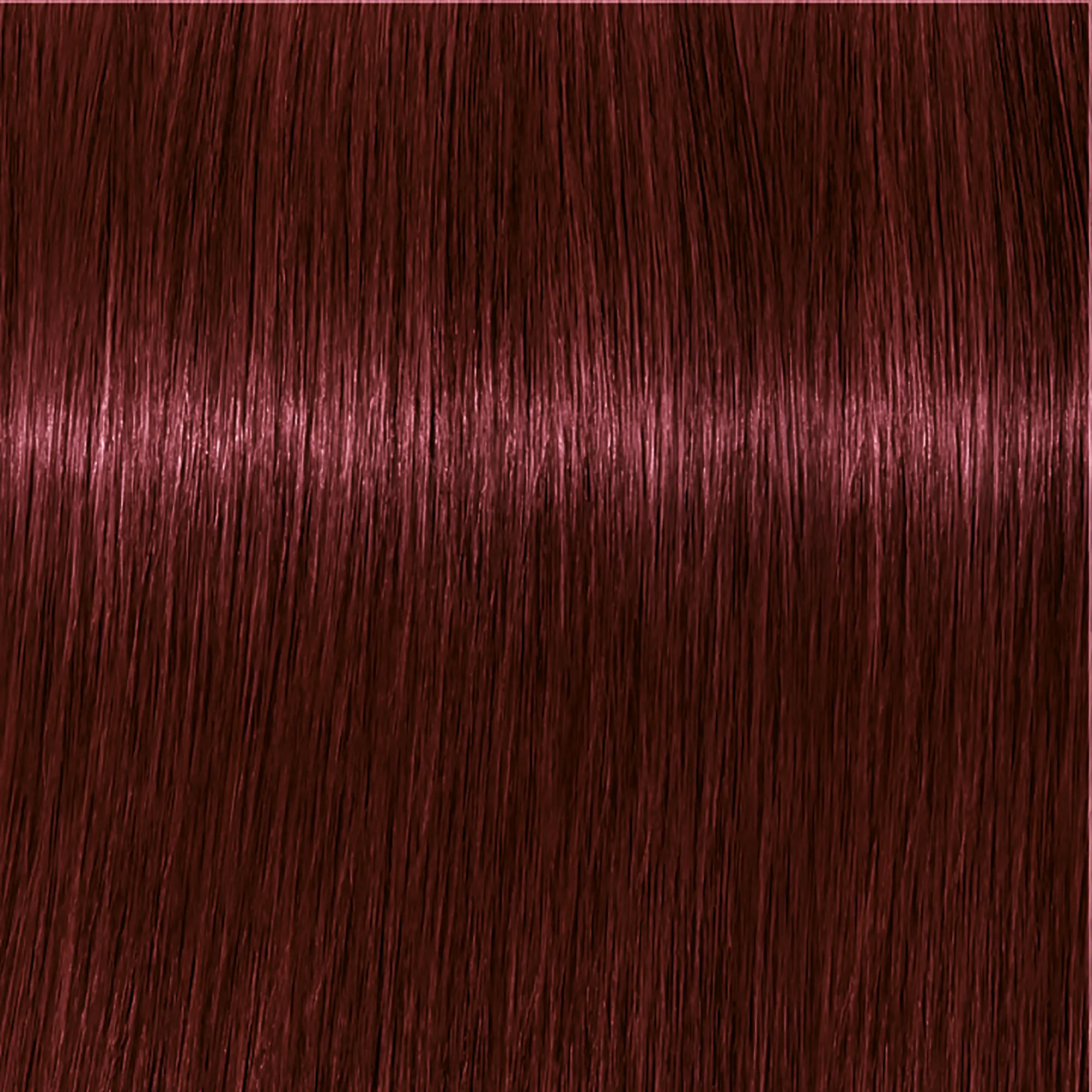 Schwarzkopf Igora Royal