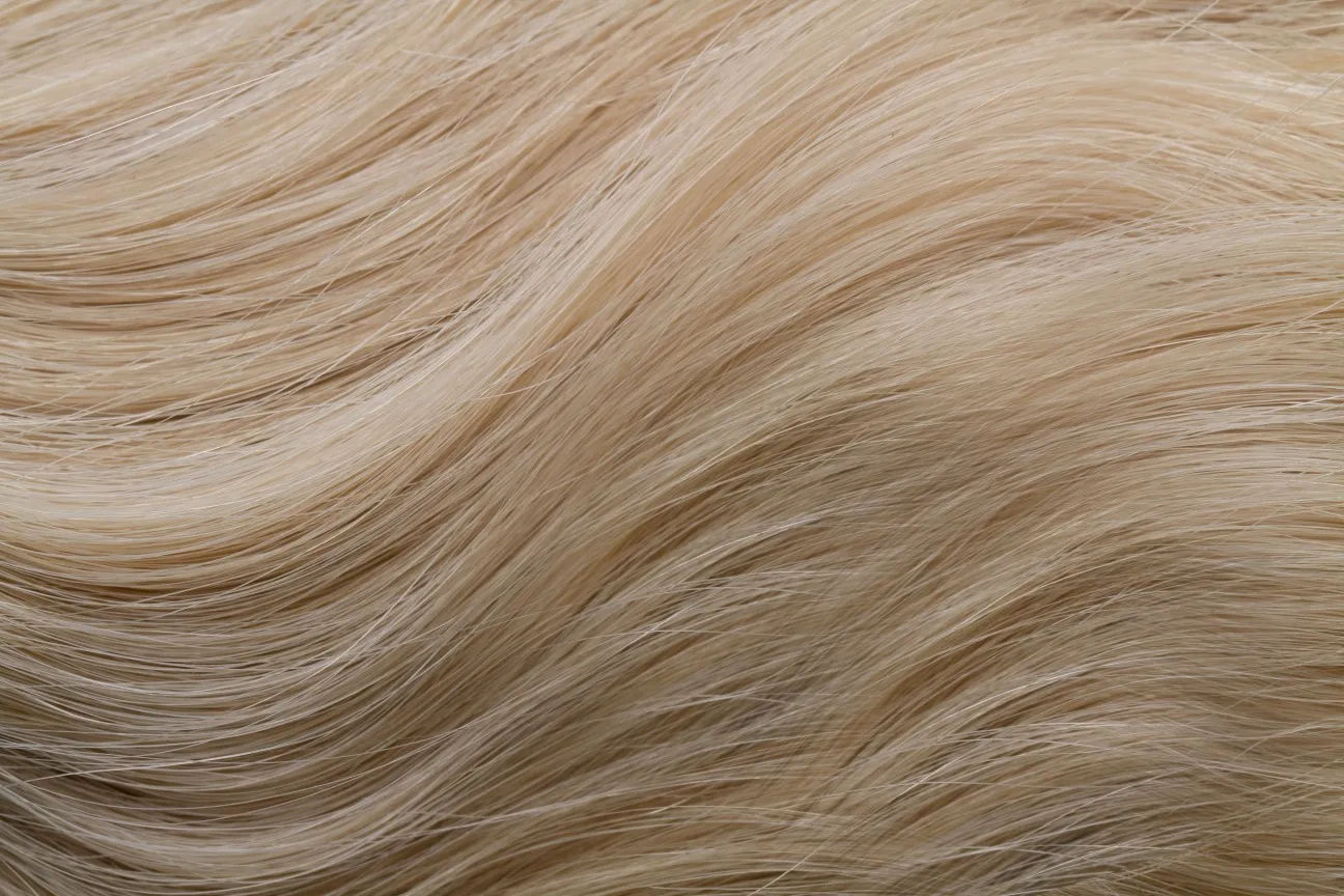 Gold Fever Bonding Extensions 35 cm