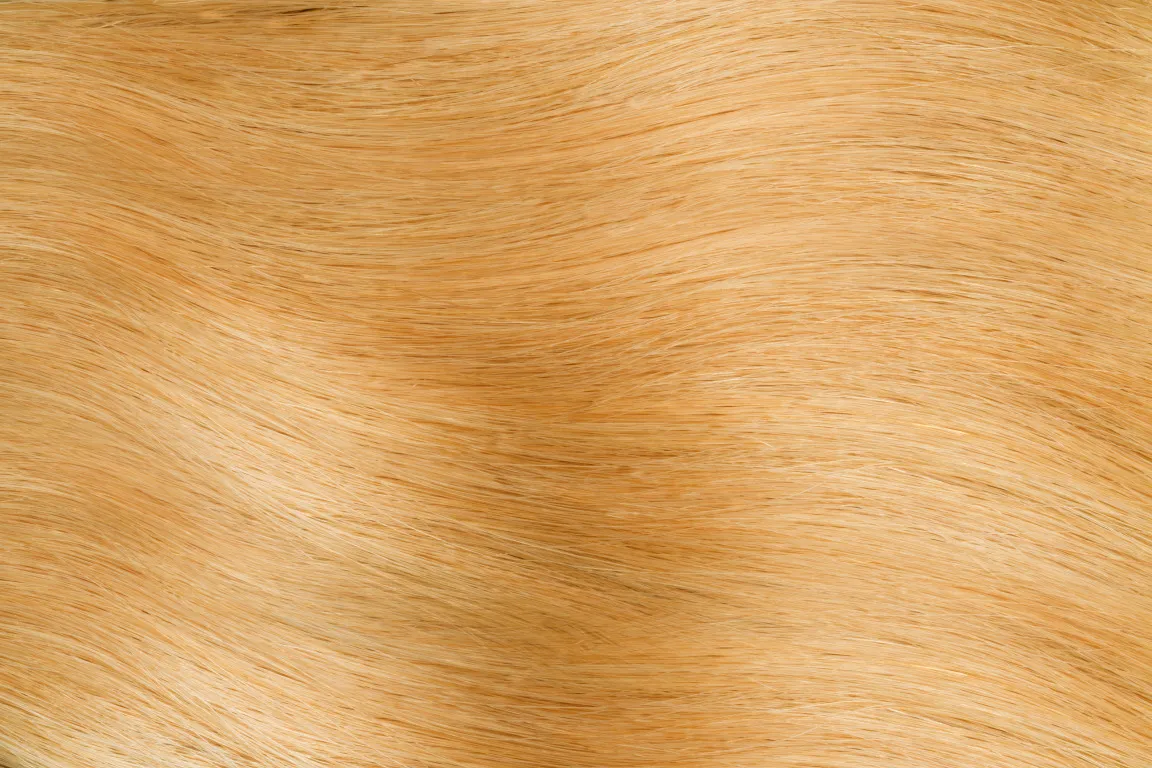 InterHair Classic Extensions 45cm