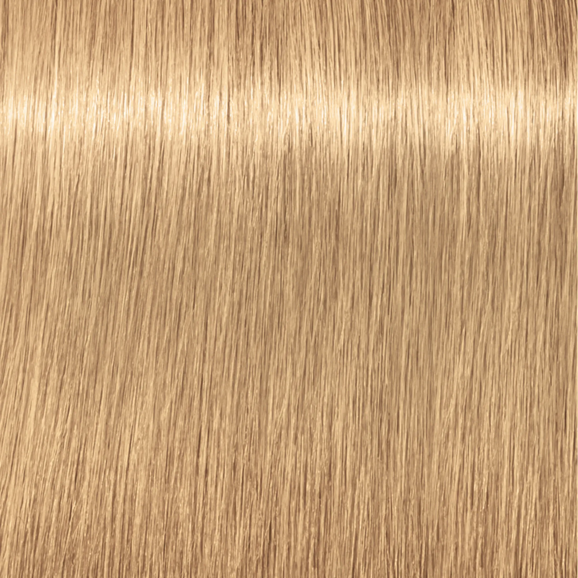 Schwarzkopf Igora Royal
