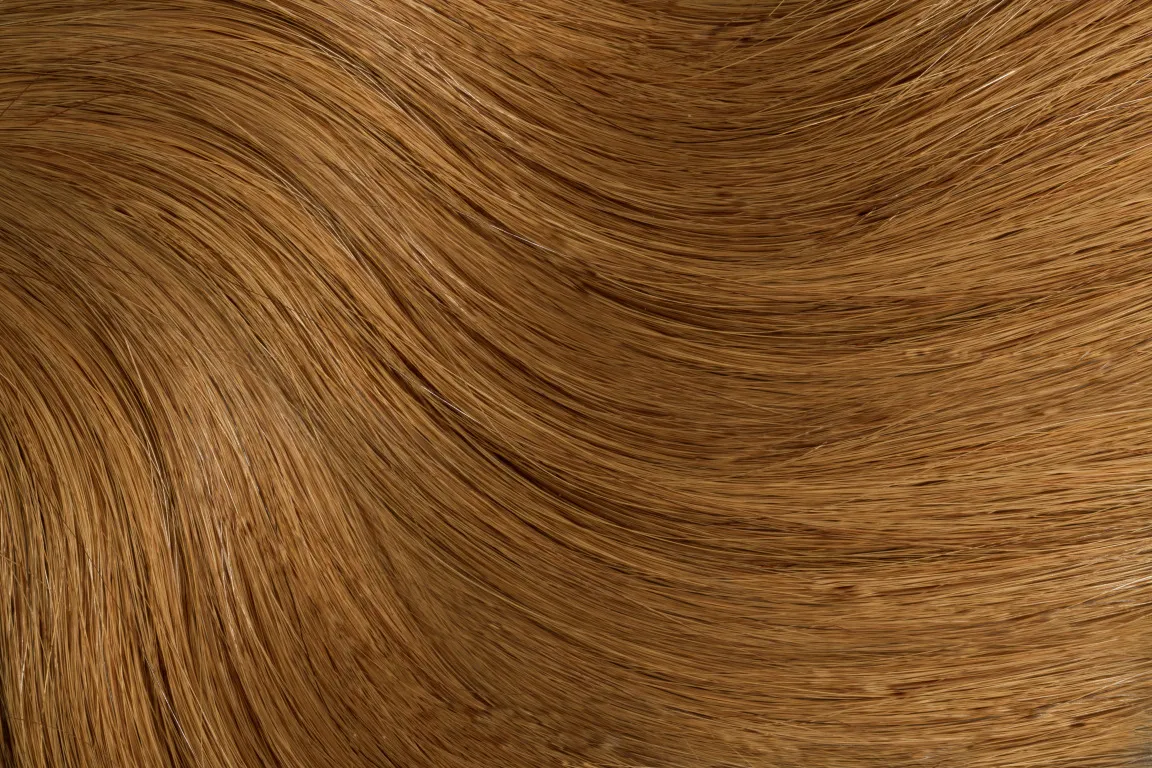 Gold Fever Bonding Extensions 35 cm