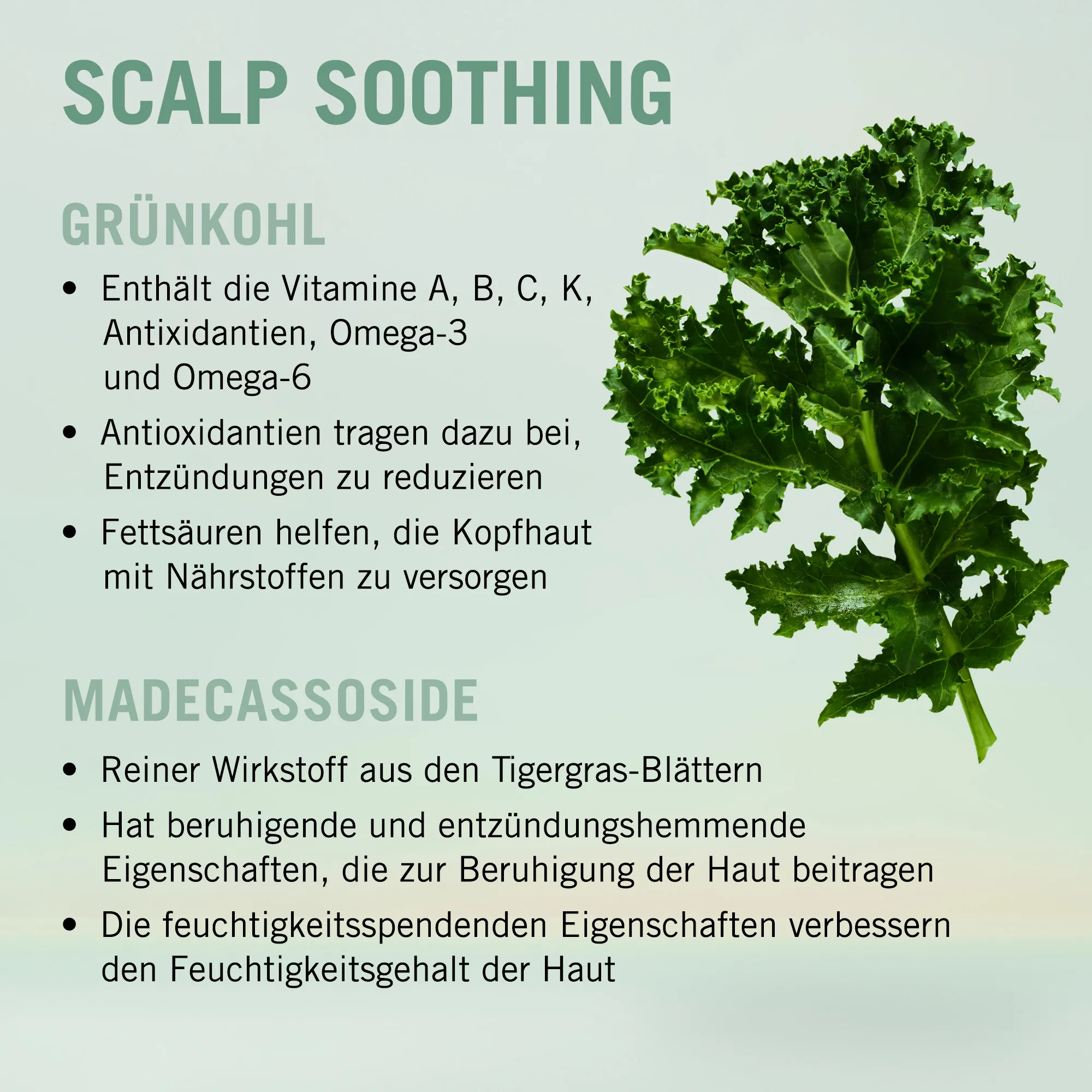 Schwarzkopf BC Scalp Soothing Shampoo