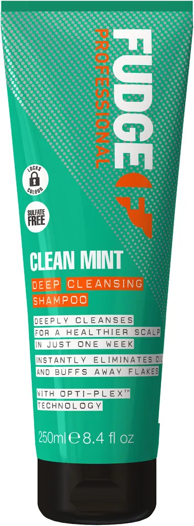Fudge Clean Mint Shampoo