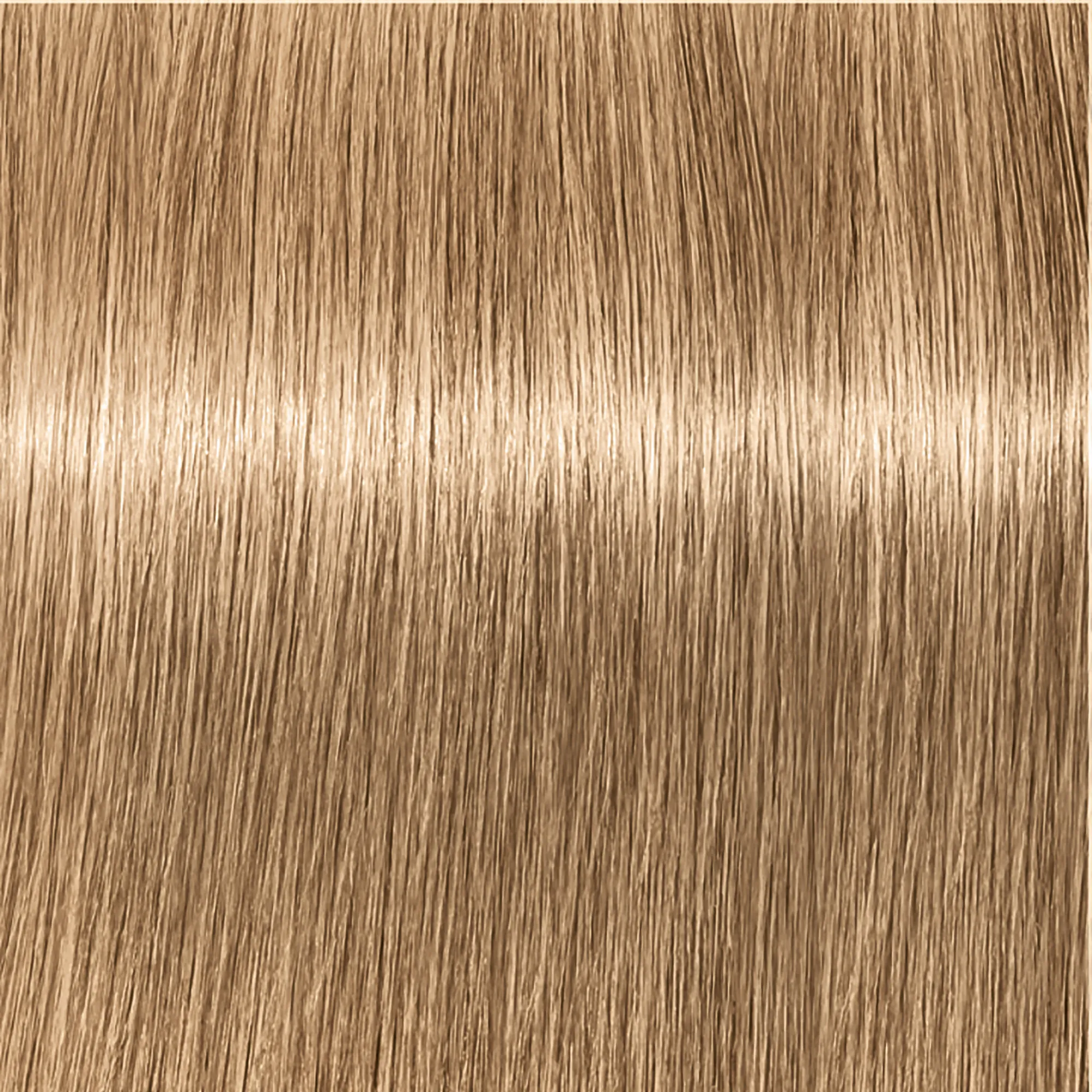 Schwarzkopf Igora Royal