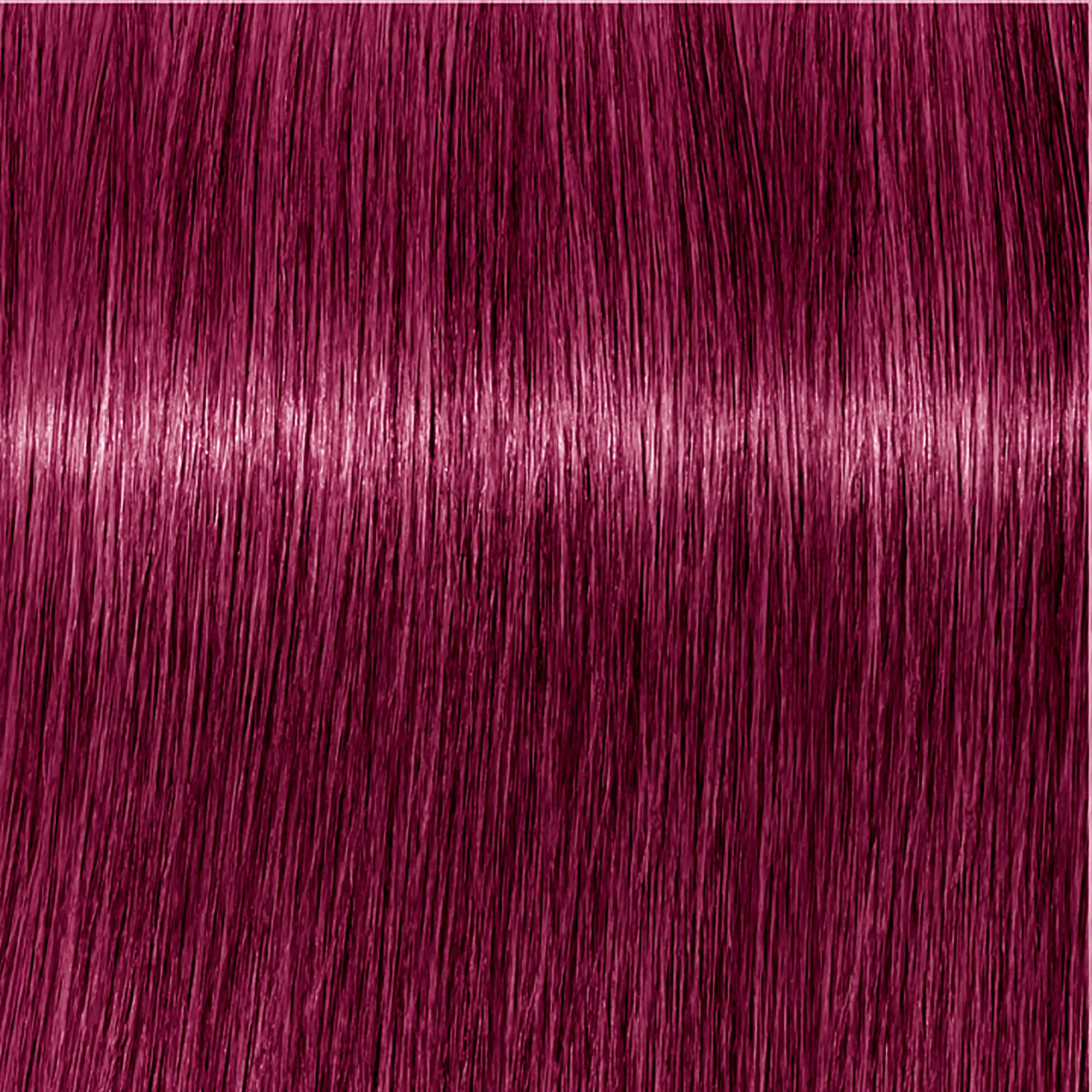 Schwarzkopf Igora Royal