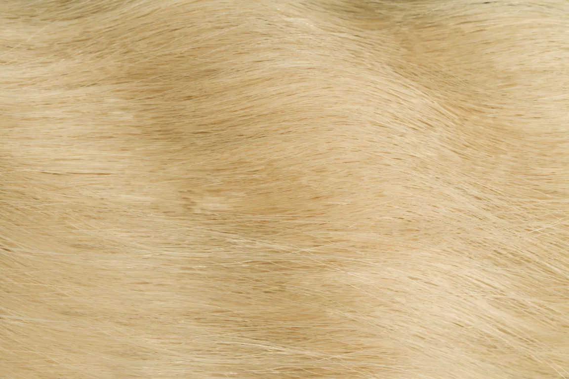 Gold Fever Hair Tapes 45 cm