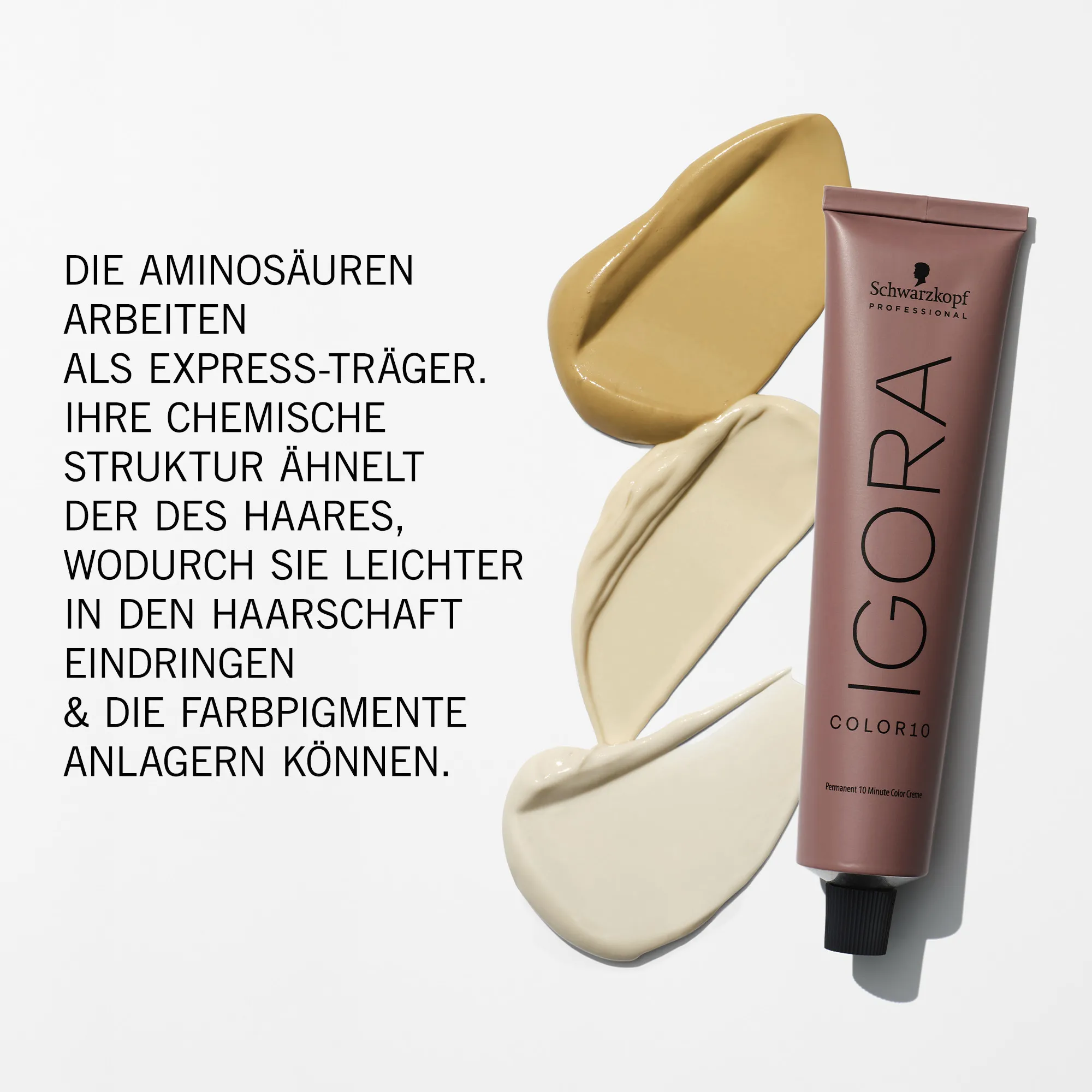 Schwarzkopf Igora Color 10