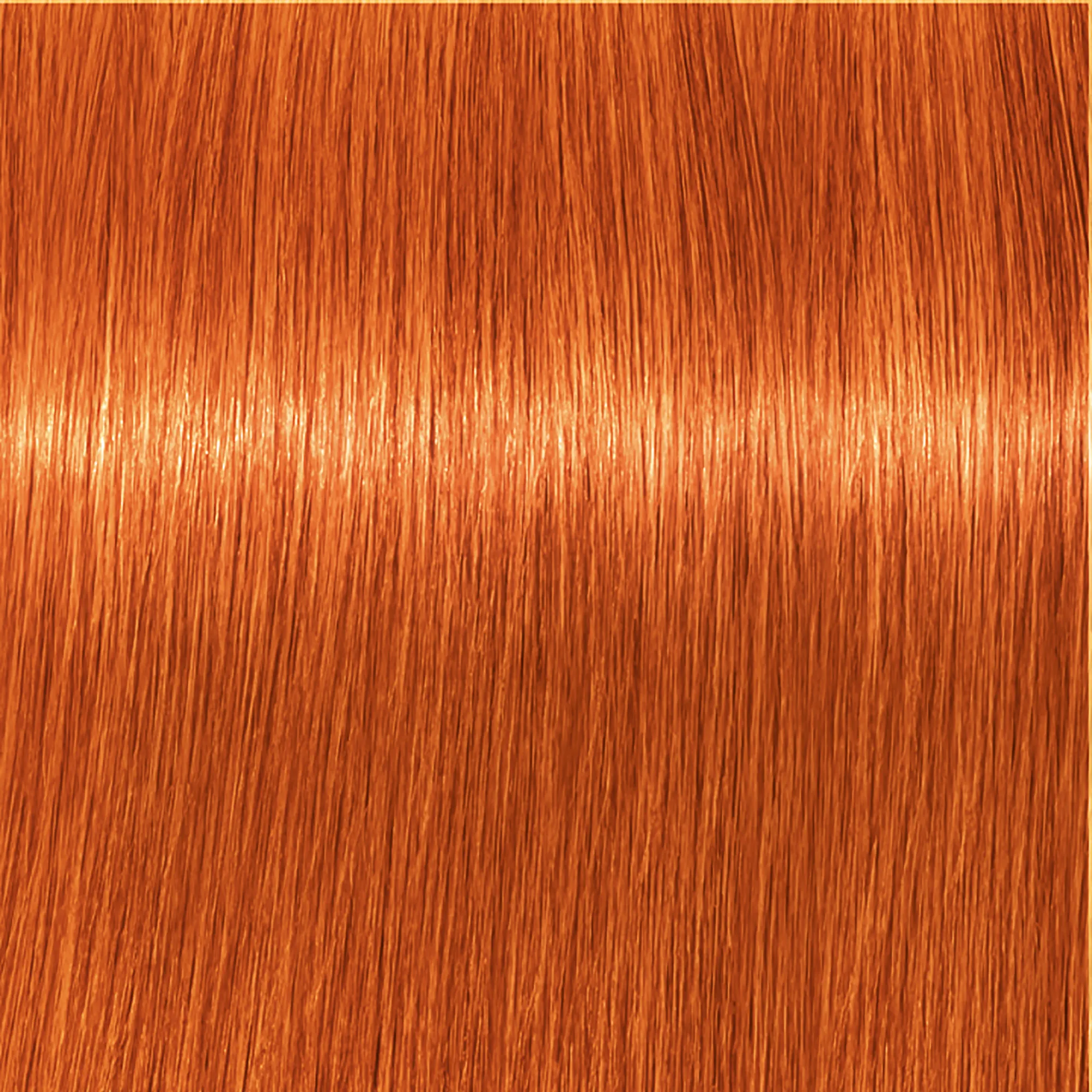 Schwarzkopf Igora Royal