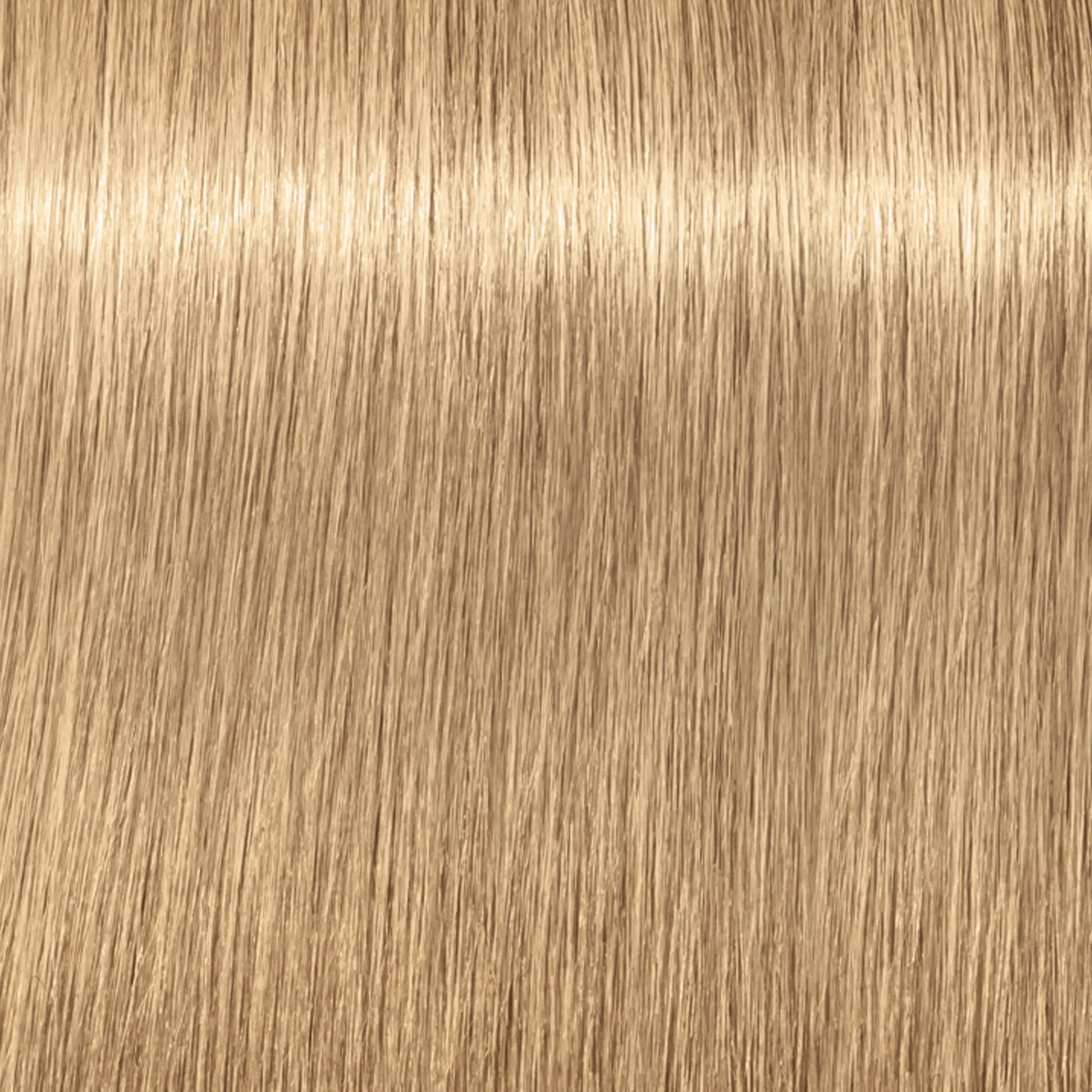 Schwarzkopf Igora Royal