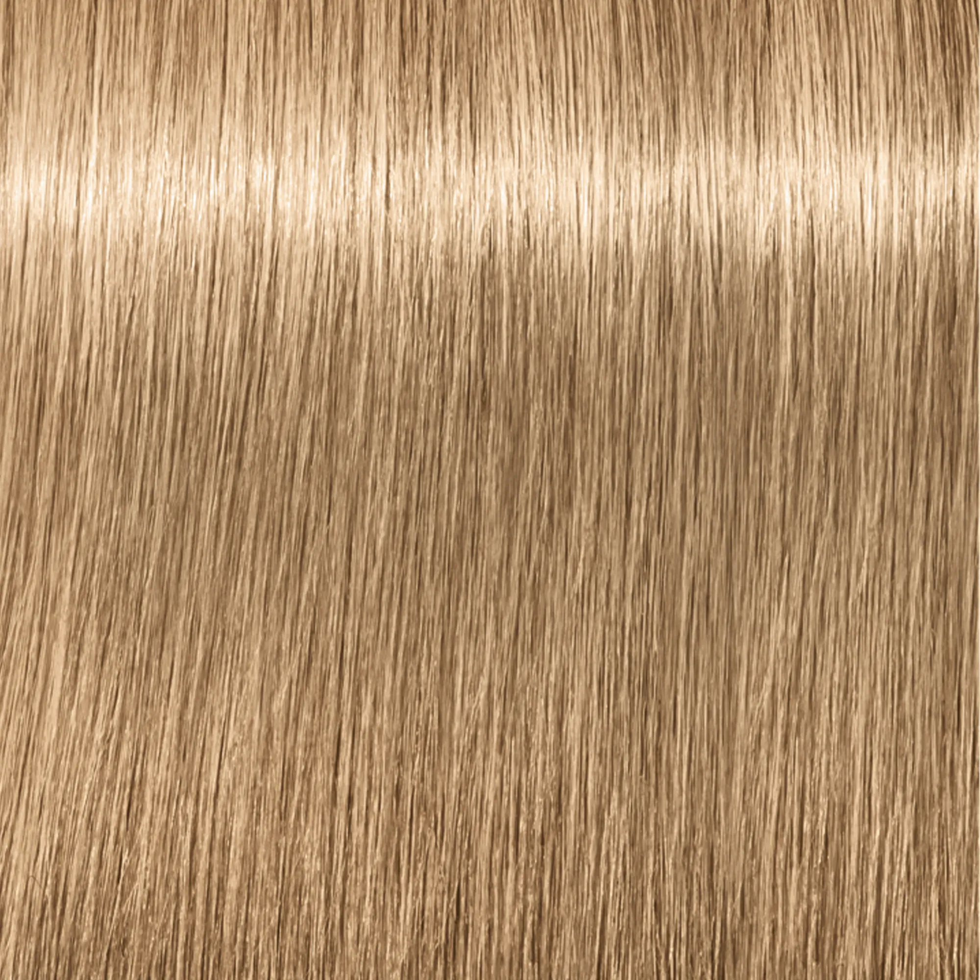 Schwarzkopf Igora Royal