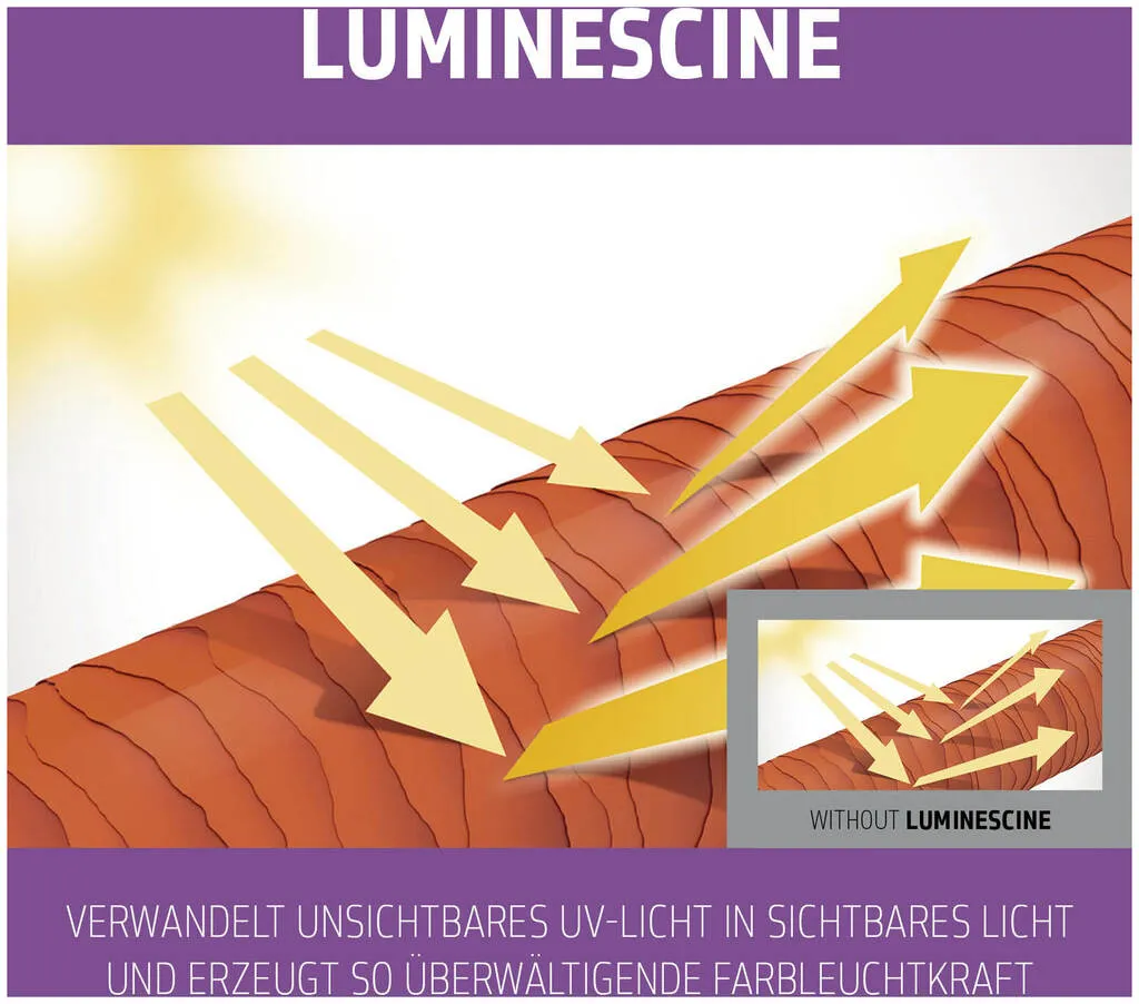 Goldwell Dualsenses Blondes & Highlights 60s Treatment